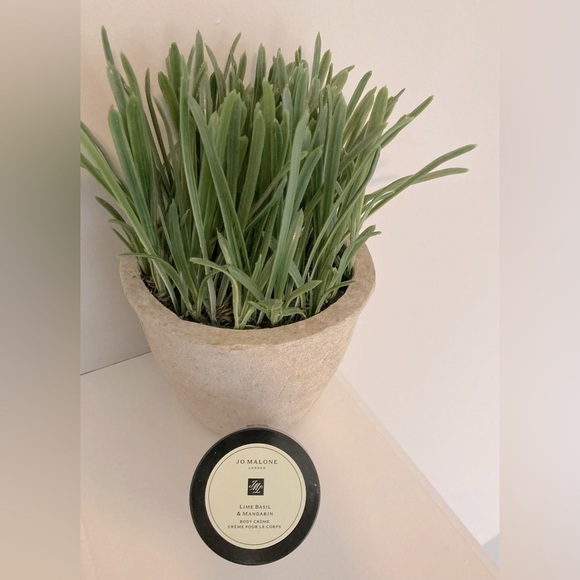 Jo Malone Lime Basil & Mandarin Body Crème. Brand new without box. 50 ML. - Picture 2 of 3